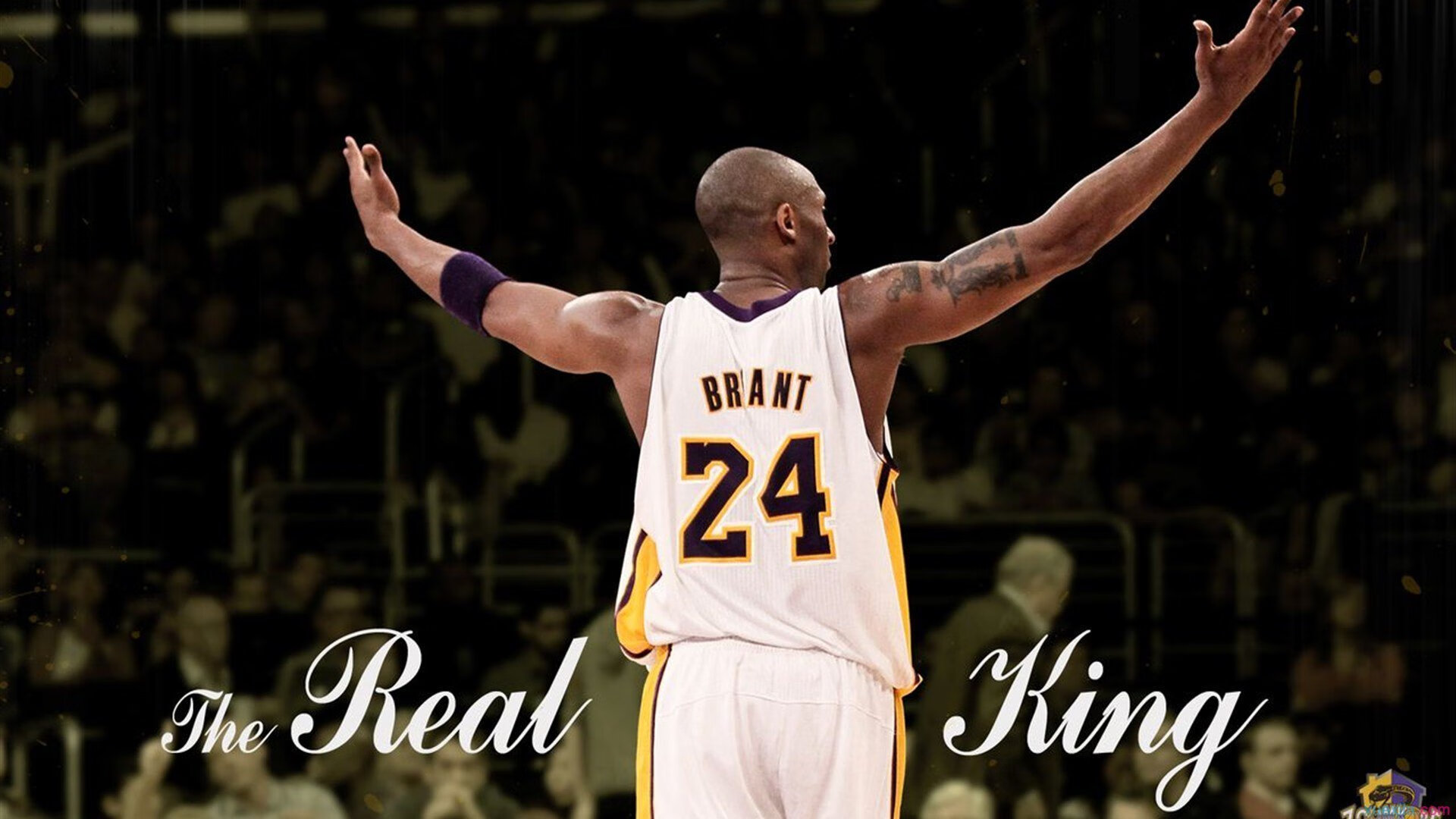 蛰伏的战士,拉梅洛在生死战中的王者归来